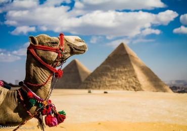 Giza Pyramids and Egyptian museum stopover tour from Cairo Airport